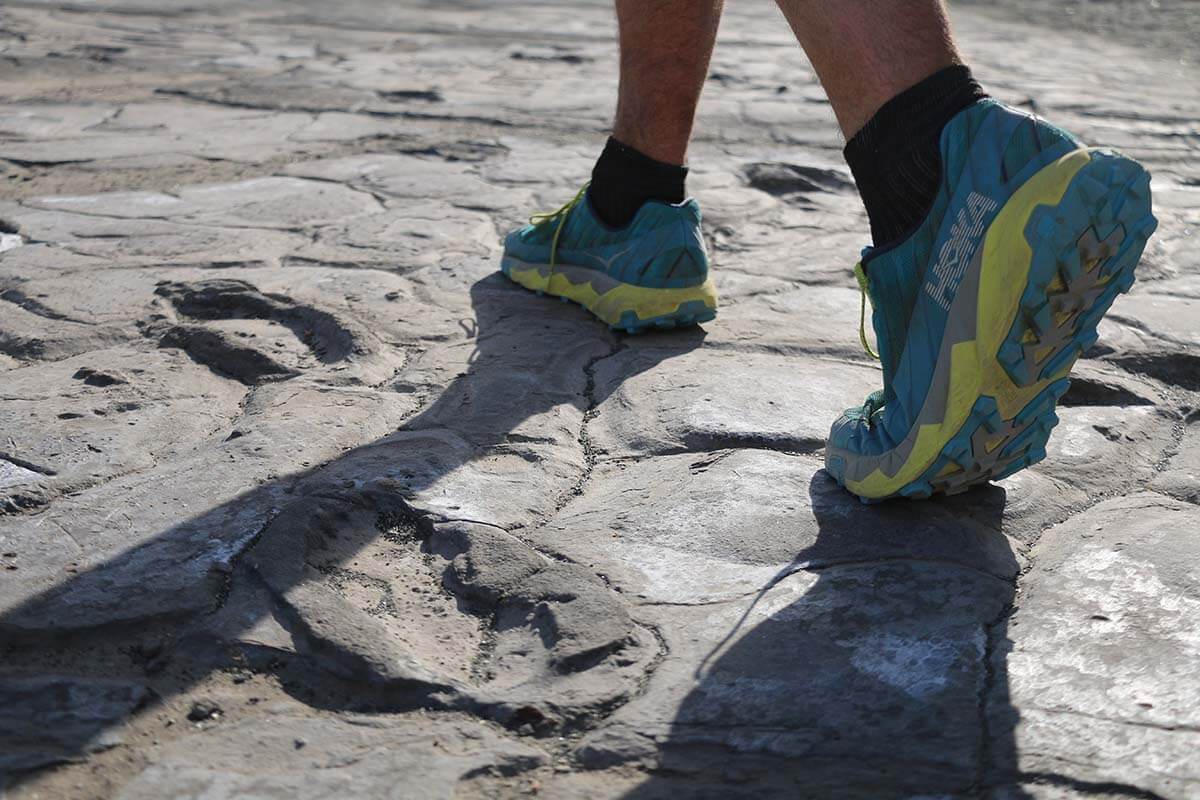 Ancient footprints in the Tanzanian mud