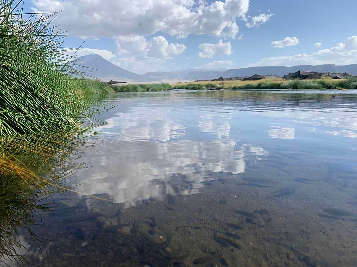 The lake and landscape at Lake Natron